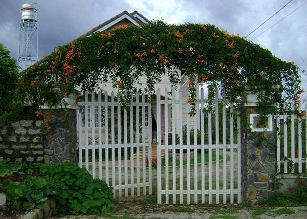 cổng biệt thự hiện đại nhà vườn